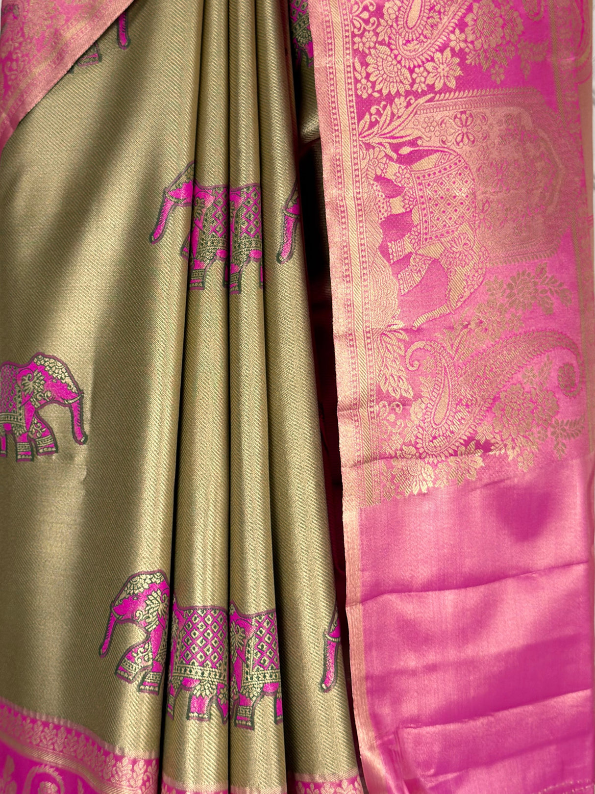 MIMOSA Saree Saree — fleets shot full lifestyle