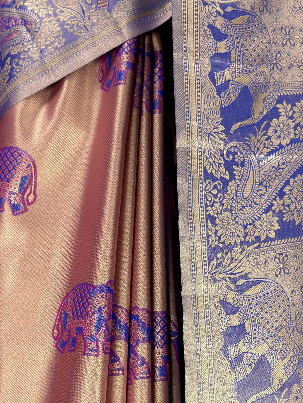 MIMOSA Saree Saree — fleets shot full lifestyle