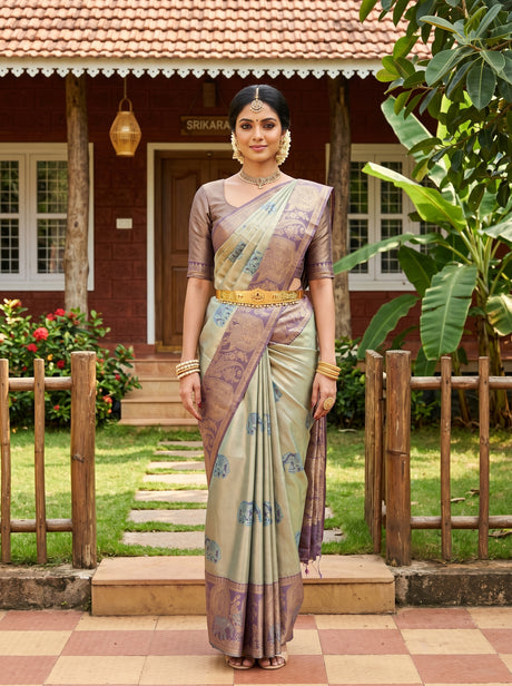 MIMOSA Saree Saree — front view on mannequin