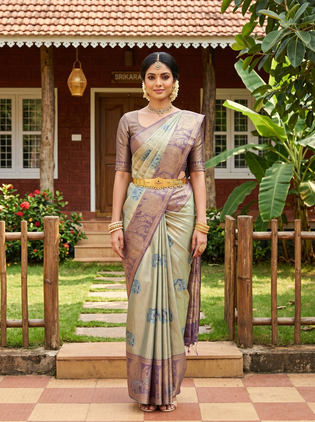 MIMOSA Saree Saree — front view on mannequin