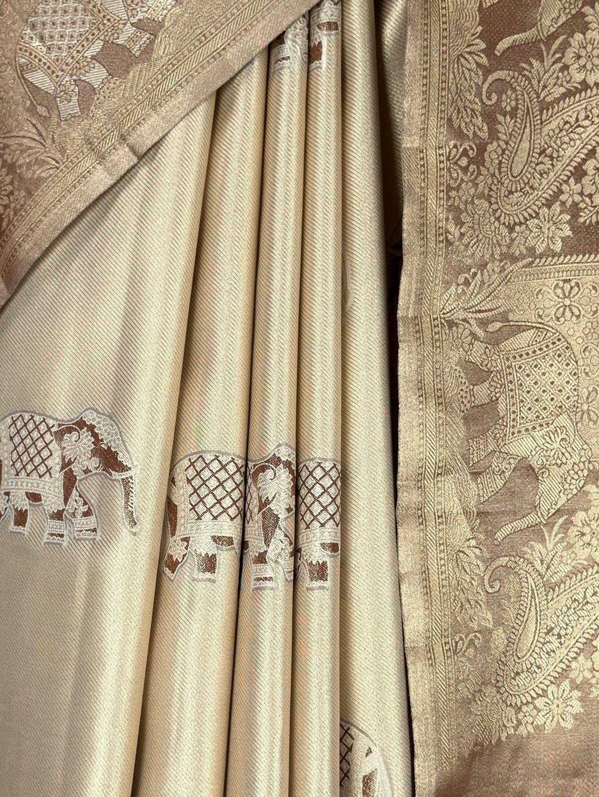 MIMOSA Saree Saree — fleets shot full lifestyle
