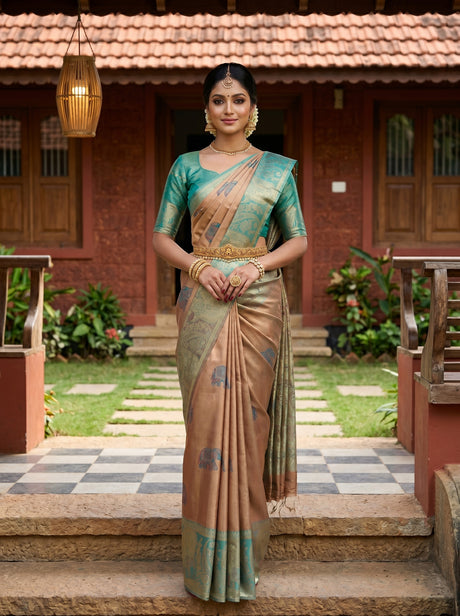 MIMOSA Saree Saree — front view on mannequin