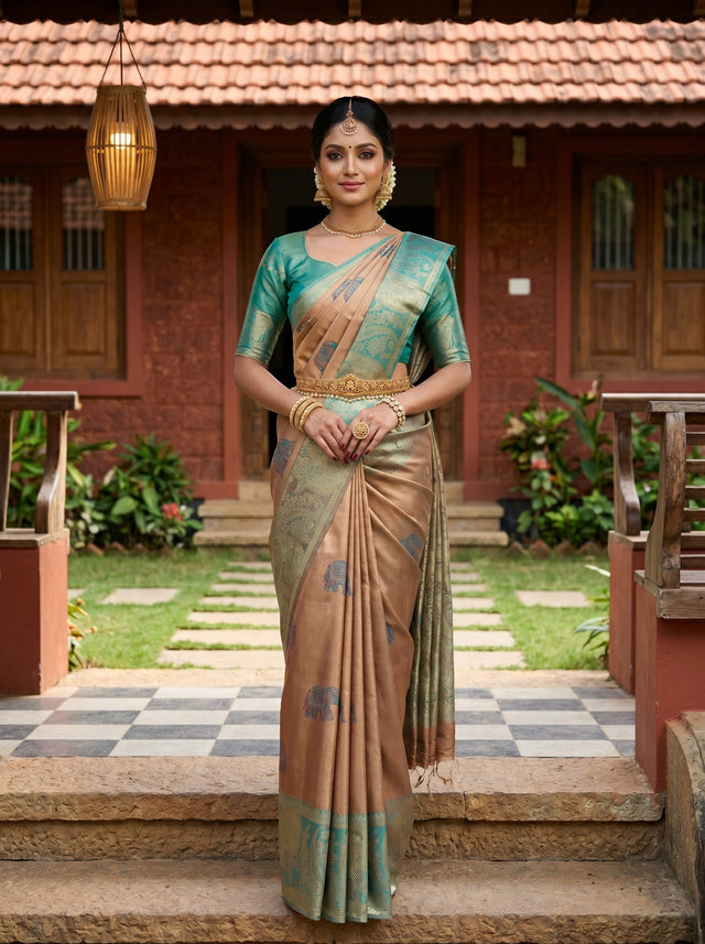 MIMOSA Saree Saree — front view on mannequin
