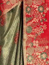 MIMOSA Saree Saree — fleets shot full lifestyle