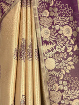 MIMOSA Saree Saree — fleets shot full lifestyle