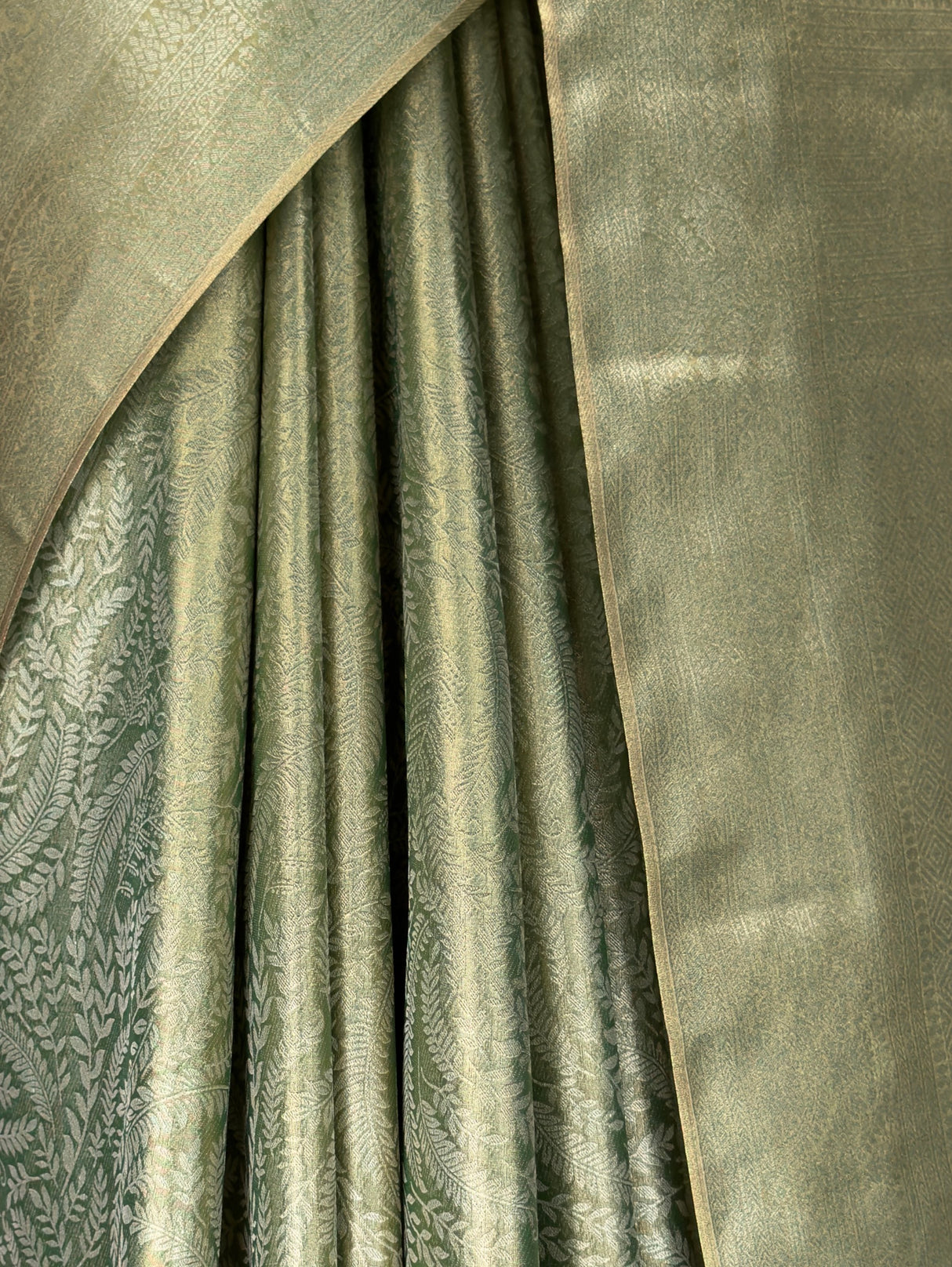 MIMOSA Green Saree Saree — fleets shot full lifestyle