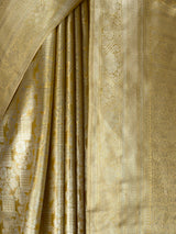 MIMOSA Saree Saree — fleets shot full lifestyle