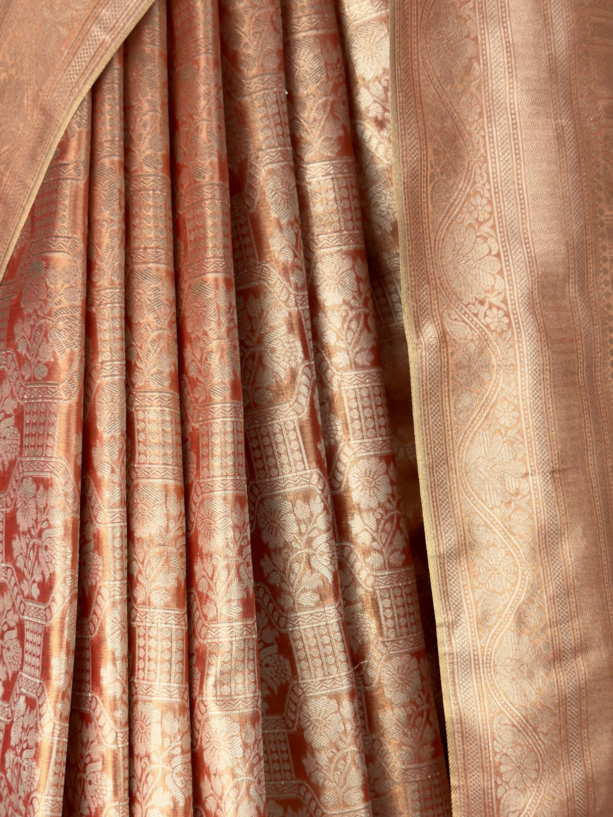 MIMOSA Saree Saree — fleets shot full lifestyle