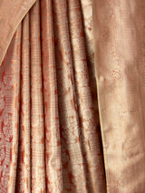MIMOSA Saree Saree — fleets shot full lifestyle