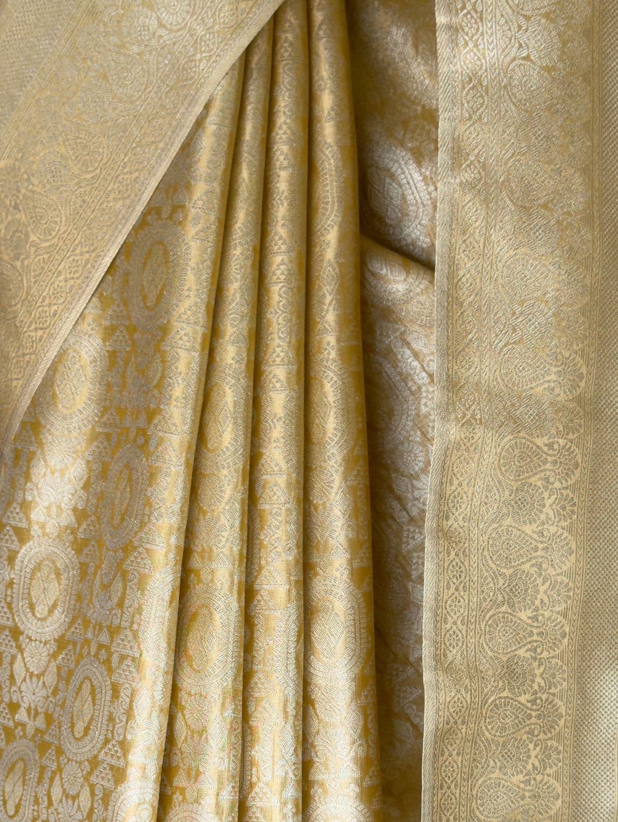 MIMOSA Saree Saree — fleets shot full lifestyle