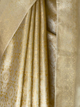 MIMOSA Saree Saree — fleets shot full lifestyle