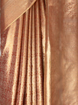 MIMOSA Saree Saree — fleets shot full lifestyle