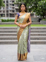 Olive  Saree