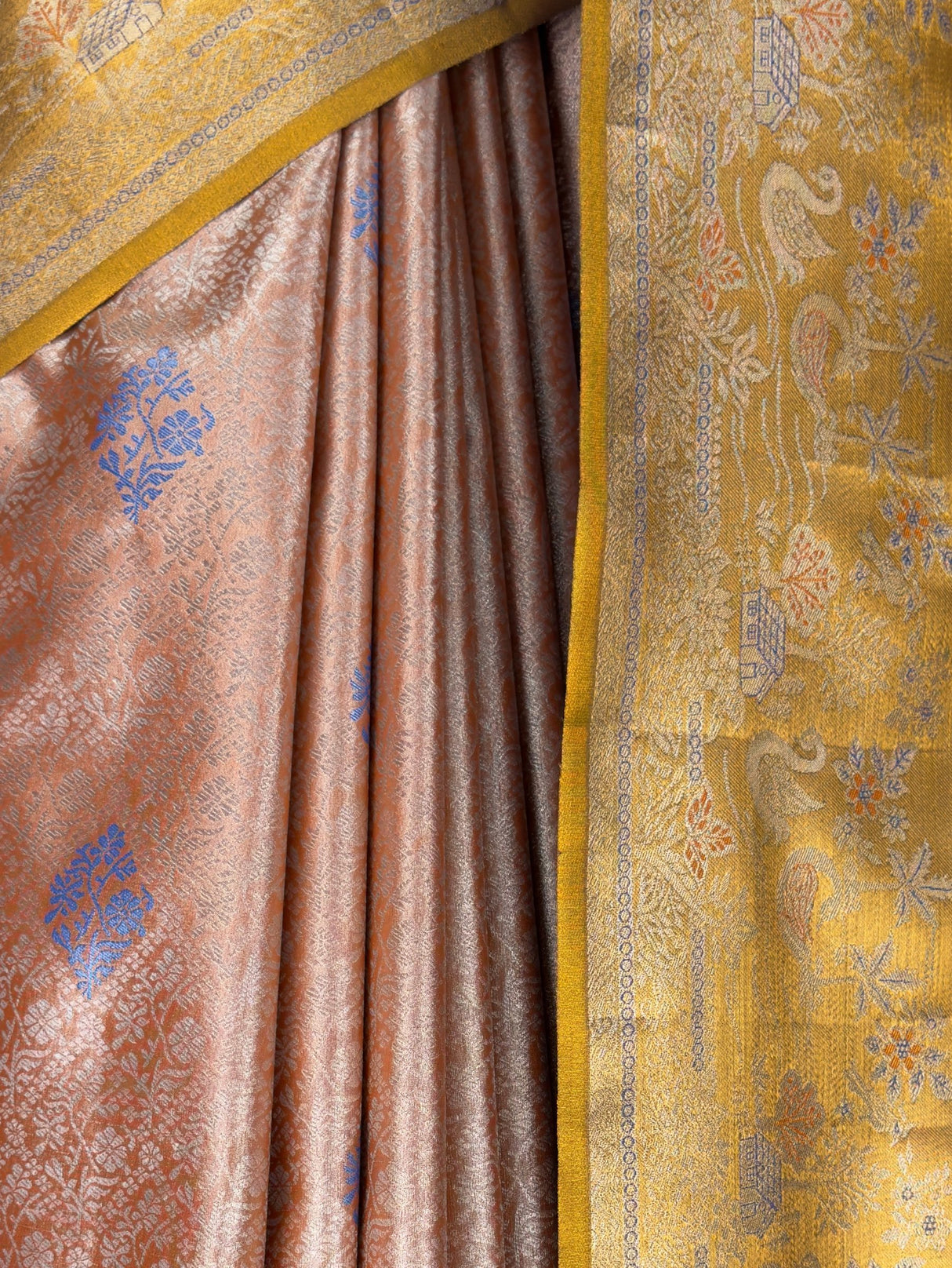 MIMOSA Orange Saree Saree — fleets shot full lifestyle