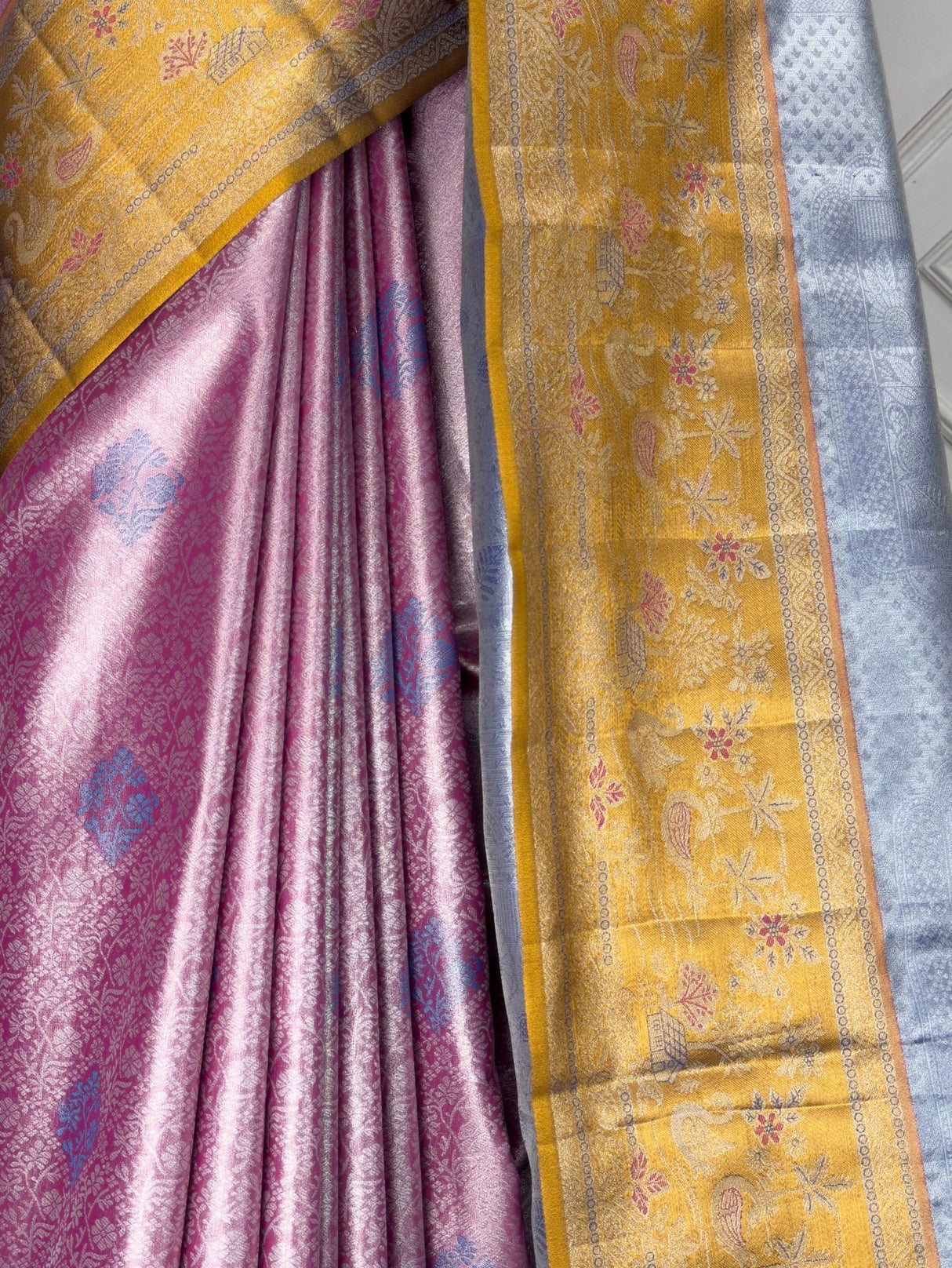 MIMOSA Rani Saree Saree — fleets shot full lifestyle