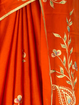 MIMOSA Saree Saree — fleets shot full lifestyle