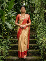 MIMOSA Saree Saree — front view on mannequin