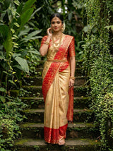 MIMOSA Saree Saree — pose 4 styling detail