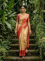 MIMOSA Saree Saree — pose 6 styling detail