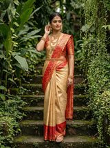 MIMOSA Saree Saree — pose 8 styling detail