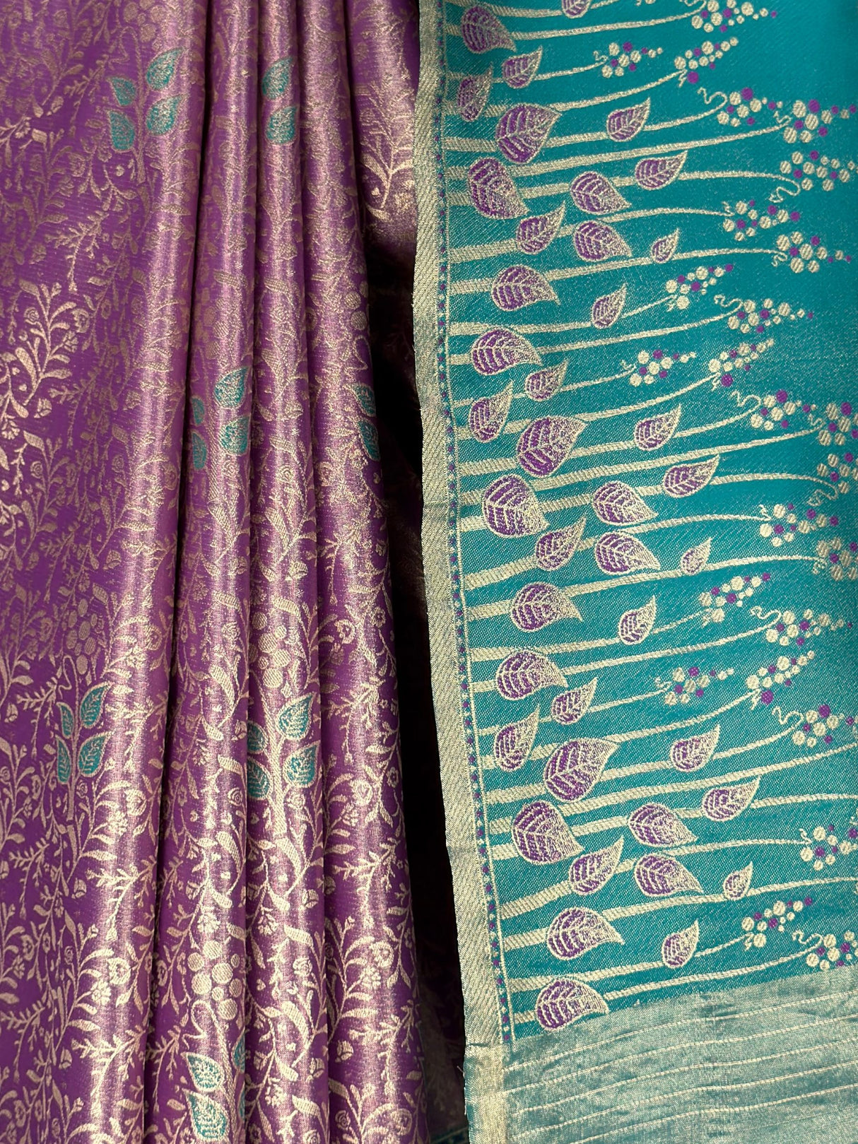 MIMOSA Saree Saree — fleets shot full lifestyle