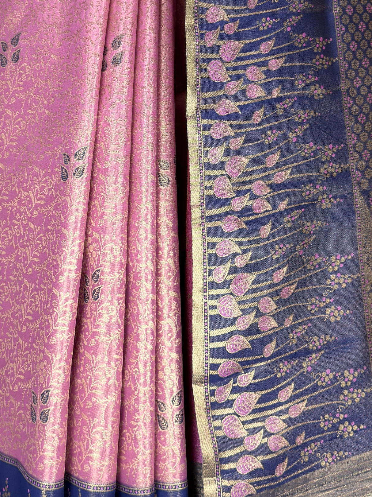 MIMOSA Saree Saree — fleets shot full lifestyle