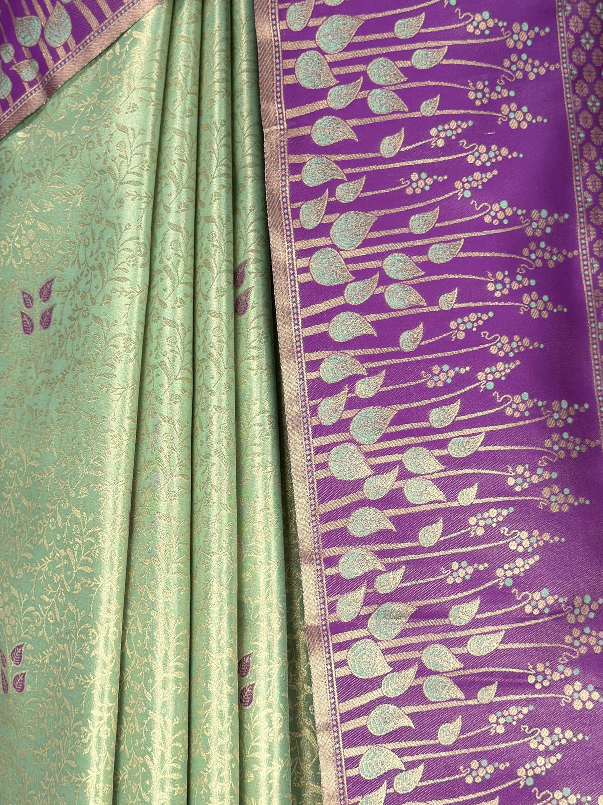 MIMOSA Saree Saree — fleets shot full lifestyle