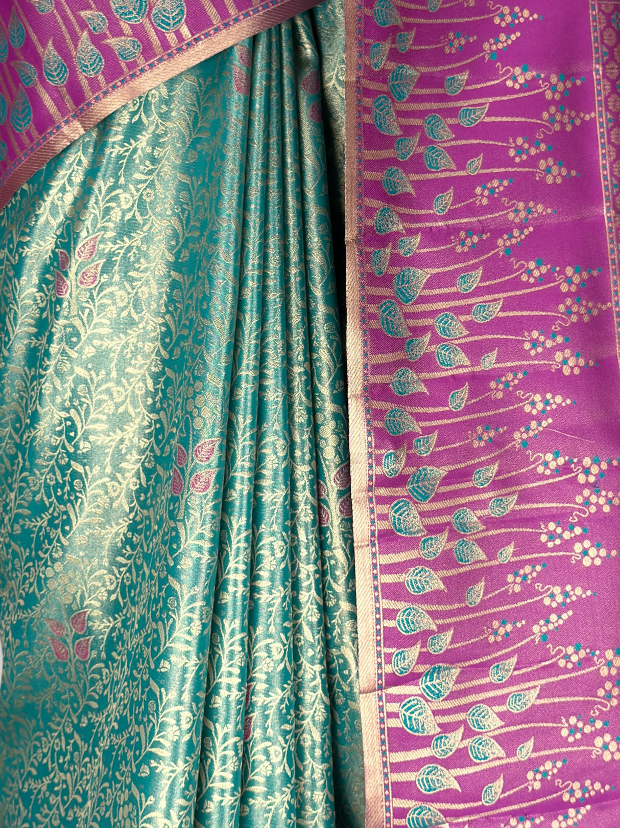 MIMOSA Saree Saree — fleets shot full lifestyle