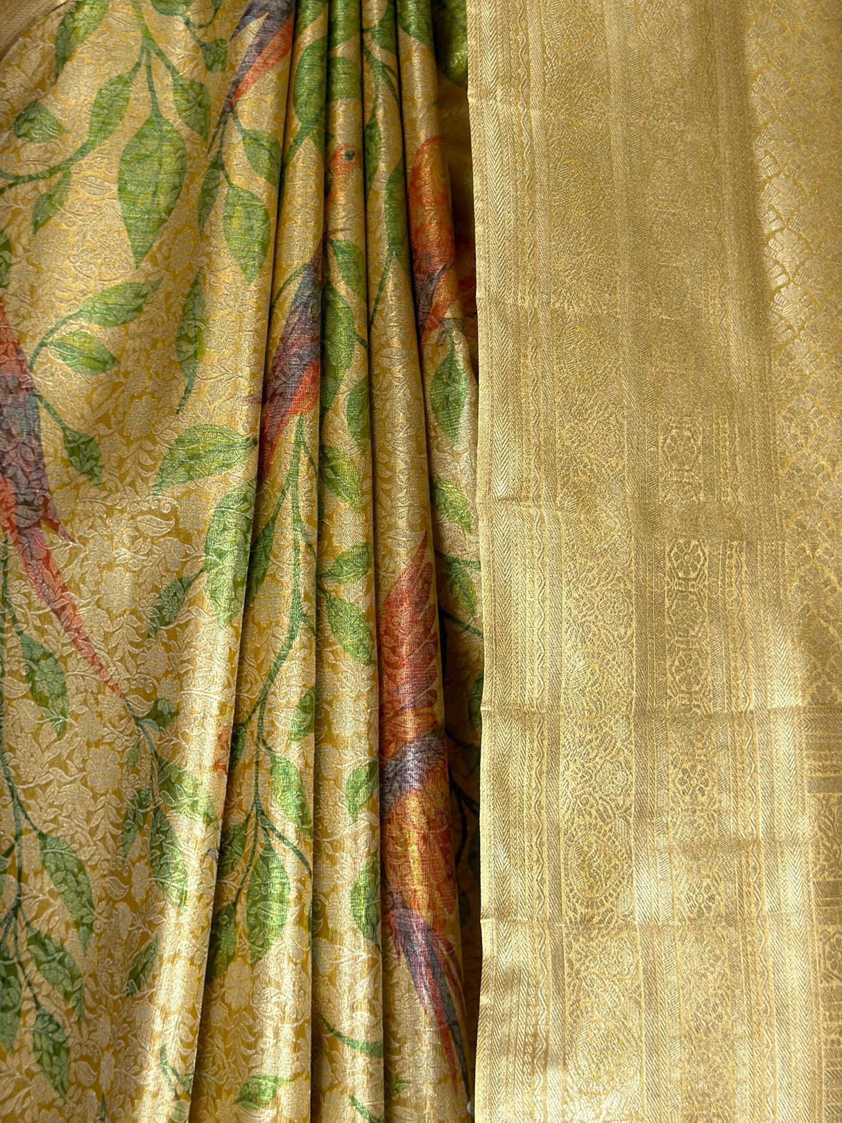 MIMOSA Gold Saree Saree — fleets shot full lifestyle
