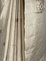 MIMOSA Tussar Saree Saree — fleets shot full lifestyle