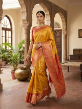MIMOSA Saree Saree — pose 6 styling detail