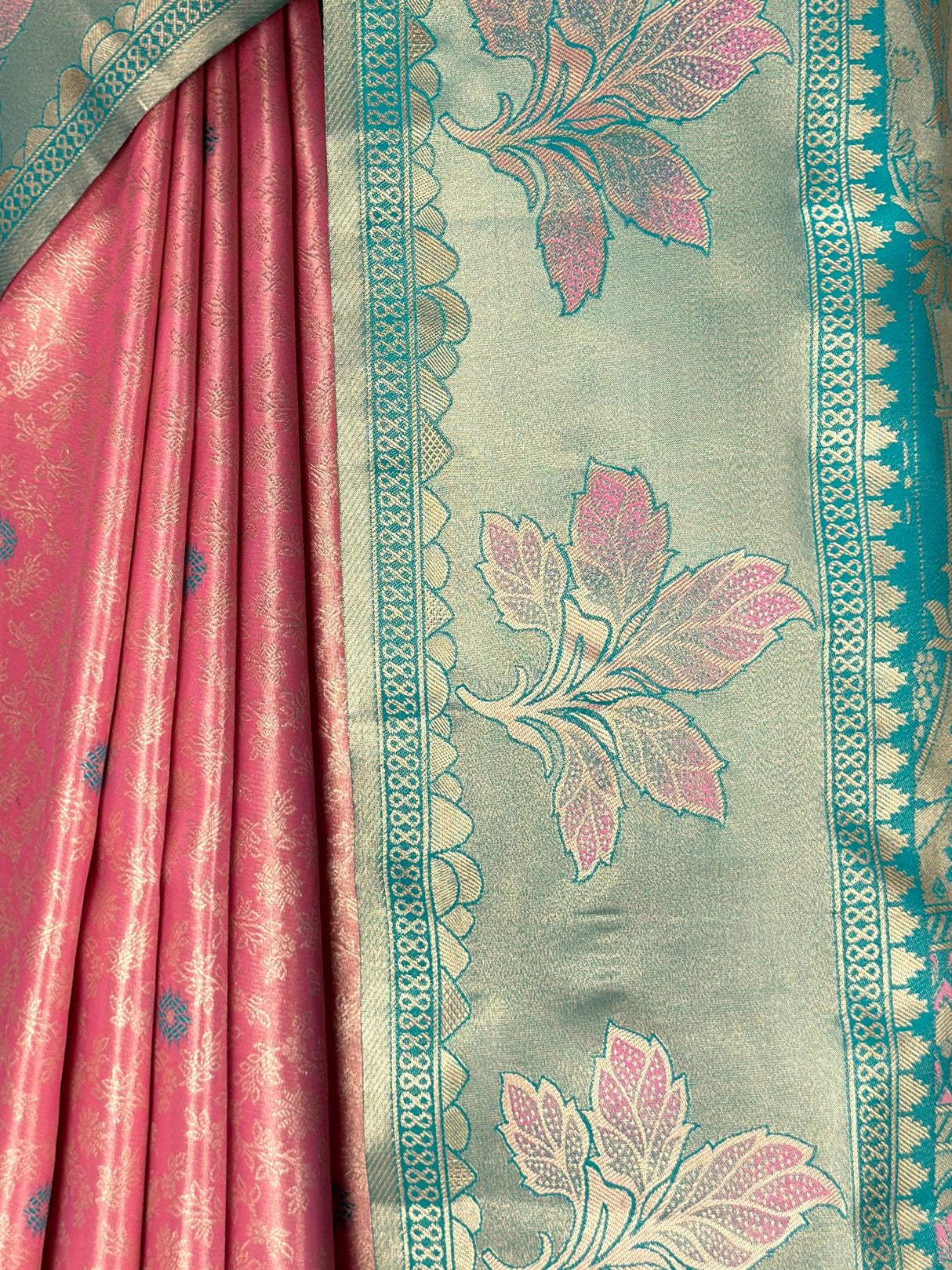 MIMOSA Saree Saree — fleets shot full lifestyle