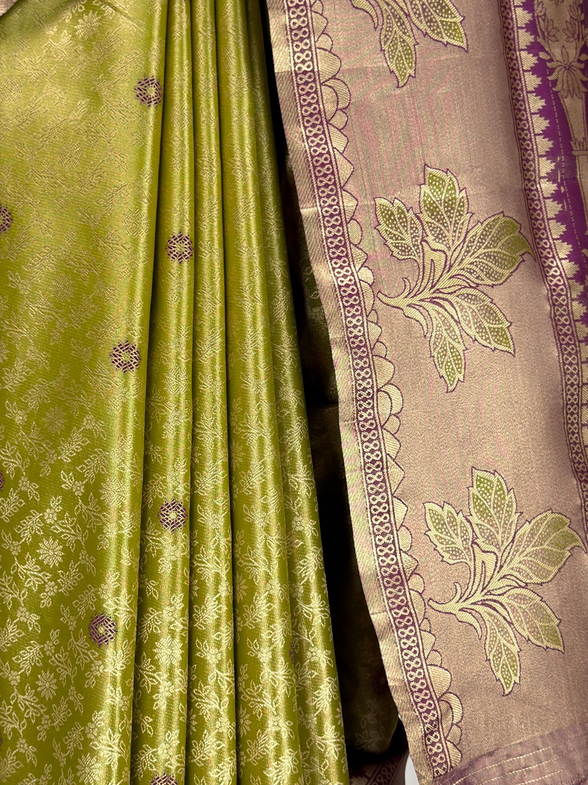 MIMOSA Saree Saree — fleets shot full lifestyle
