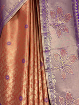 MIMOSA Saree Saree — fleets shot full lifestyle