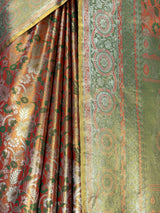 MIMOSA Saree Saree — fleets shot full lifestyle