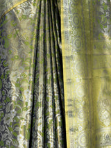 MIMOSA Saree Saree — fleets shot full lifestyle
