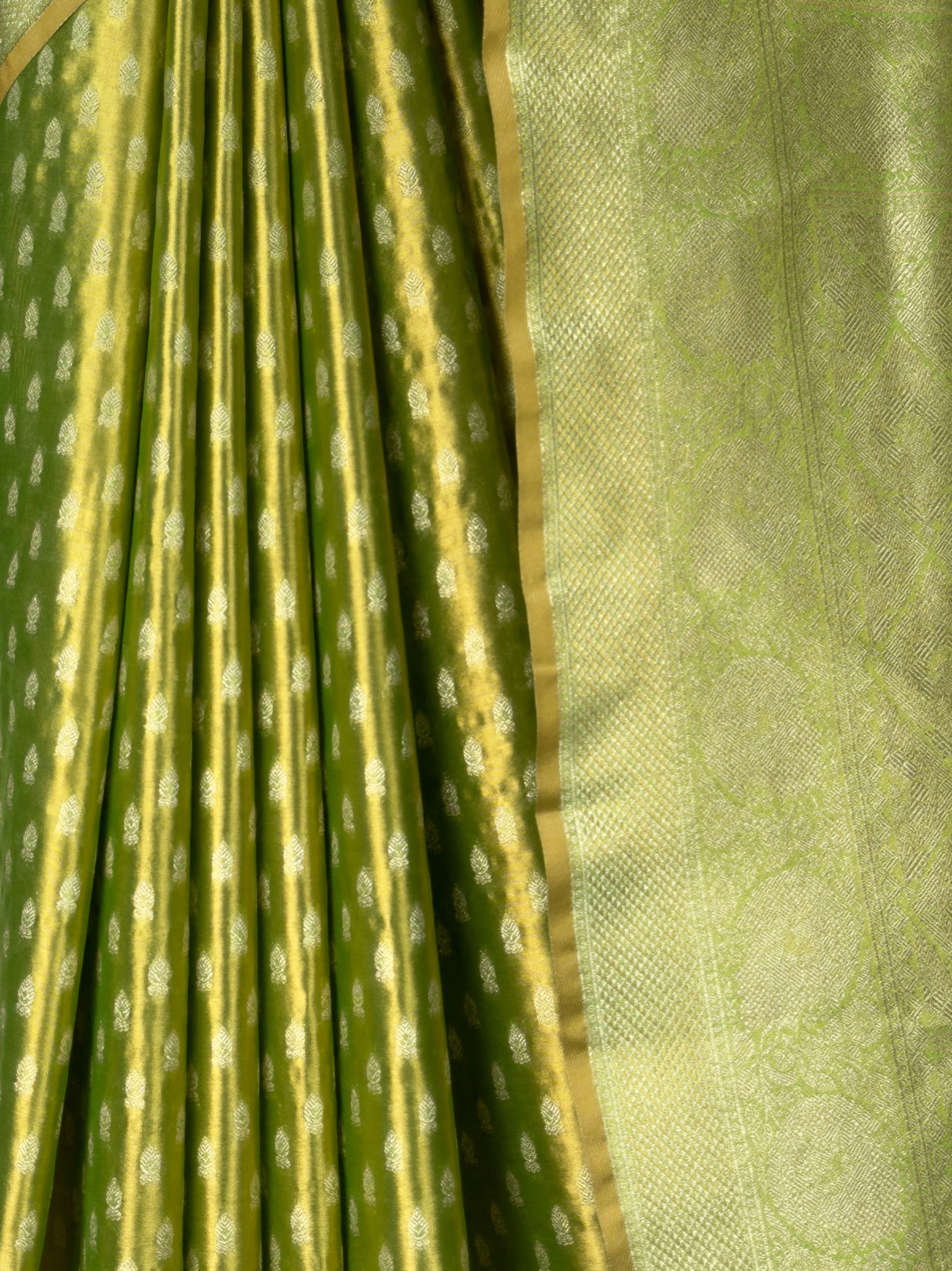 MIMOSA Parrot Green Saree Saree — fleets shot full lifestyle