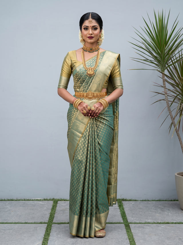 Sapphire  Saree