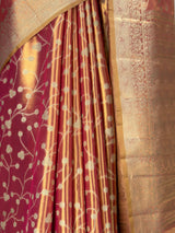 MIMOSA Rani Saree Saree — fleets shot full lifestyle