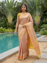 MIMOSA Saree Saree — pose 6 styling detail