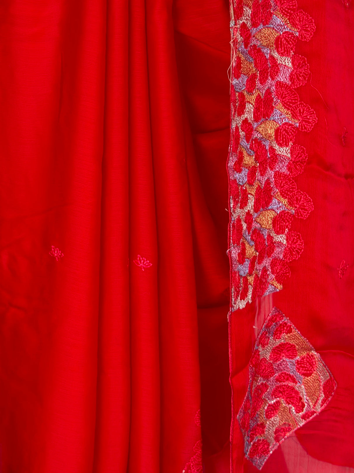 MIMOSA Red Saree Saree — fleets shot full lifestyle