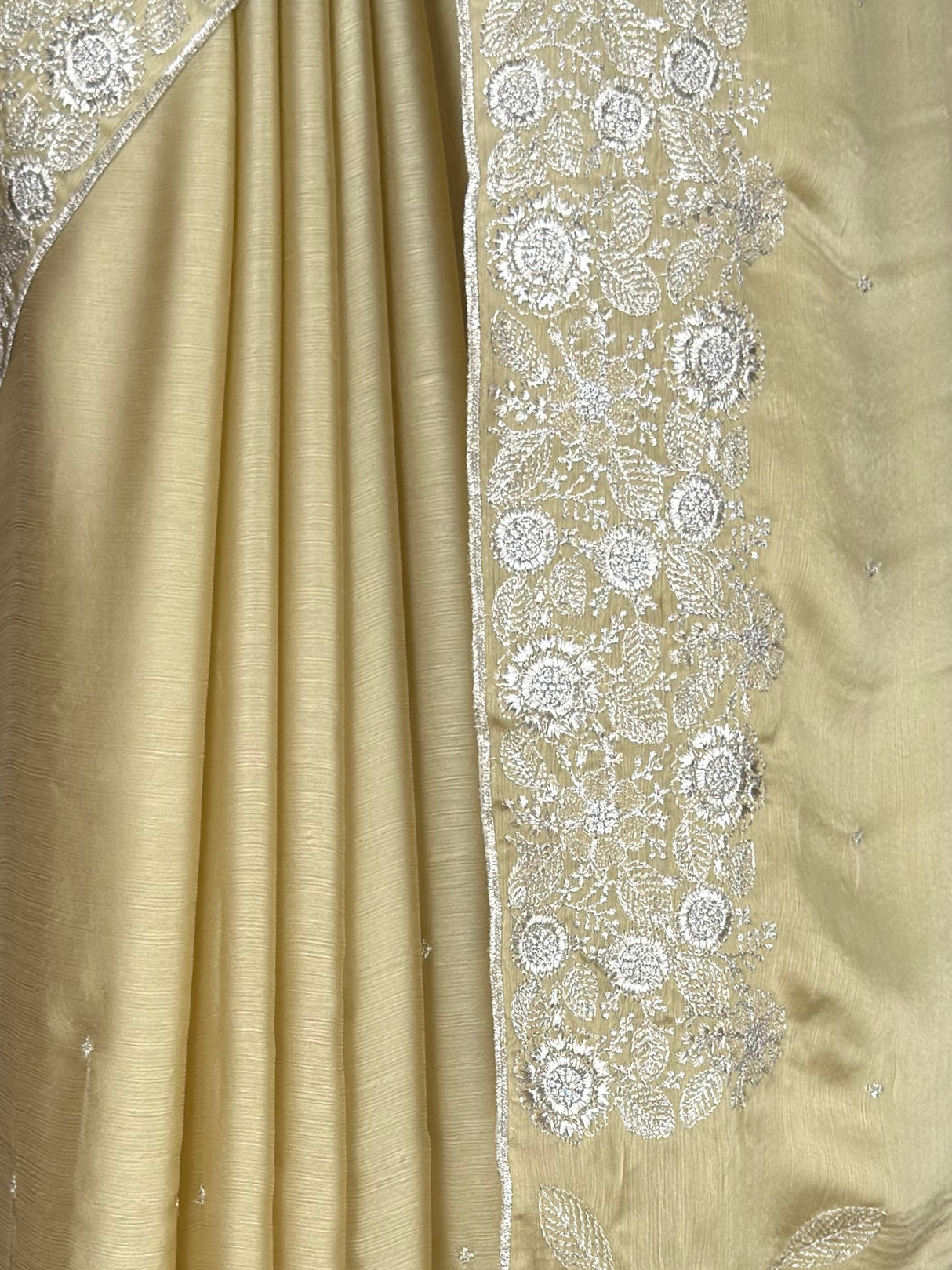 MIMOSA Saree Saree — fleets shot full lifestyle