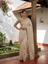 MIMOSA Tussar Banarasi chiffon Saree — pose 4 styling detail