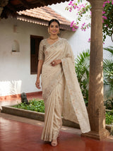 MIMOSA Tussar Banarasi chiffon Saree — pose 6 styling detail