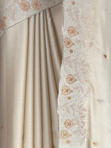 MIMOSA Tussar Banarasi chiffon Saree — fleets shot full lifestyle