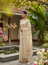MIMOSA Tussar Banarasi chiffon Saree — pose 3 styling detail
