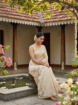 MIMOSA Tussar Banarasi chiffon Saree — pose 8 styling detail