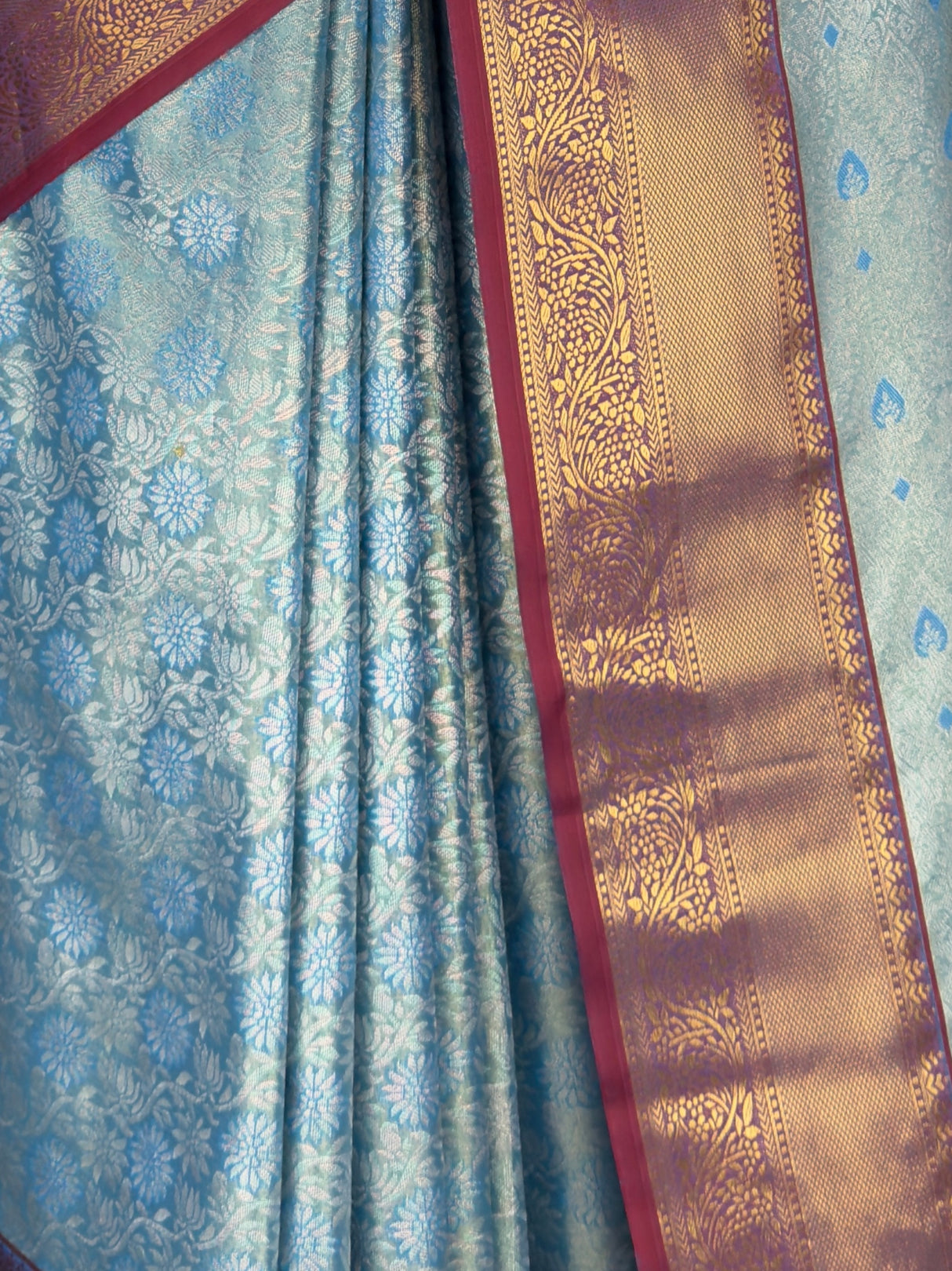 MIMOSA Saree Saree — fleets shot full lifestyle