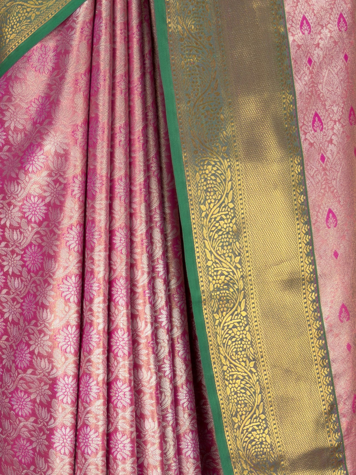 MIMOSA Saree Saree — fleets shot full lifestyle