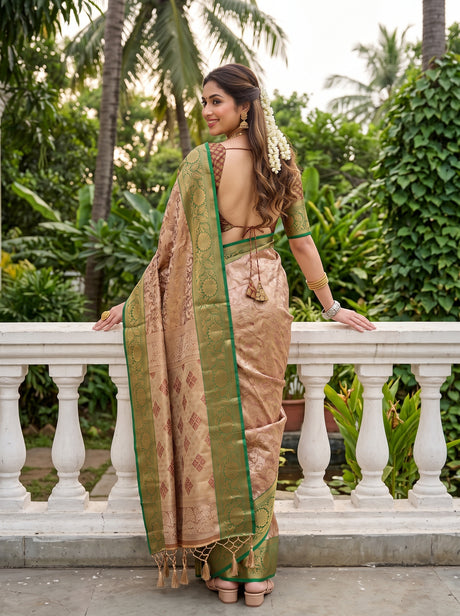 MIMOSA Maroon Saree Saree — pose 2 styling detail